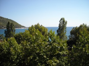 sapri 2010 015